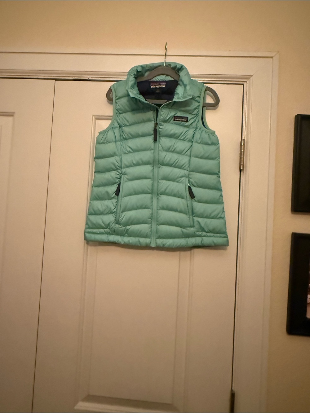Patagonia Girls' Light Aqua Down Puffer Vest
